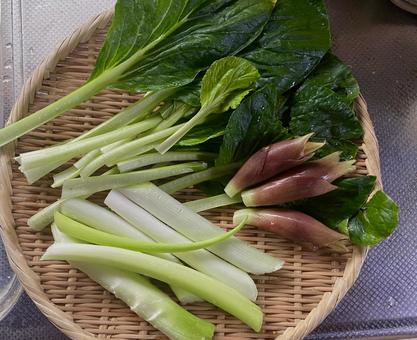 野菜 夏野菜 ざる 野菜 夏野菜 ざるの写真