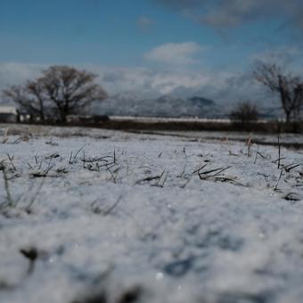Snow Scene, JPG Snow Scene, JPG