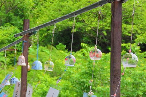 【広島県】観音寺の風鈴まつり 【広島県】観音寺の風鈴まつり 風鈴,観音寺,広島県の写真素材