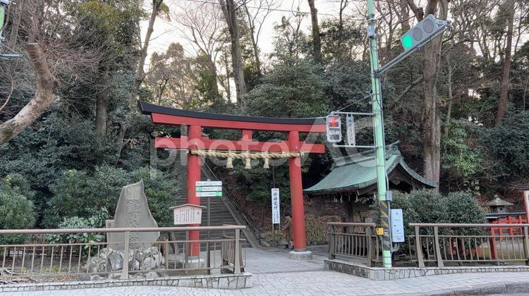 鶴岡八幡宮　風景 鶴岡八幡宮,風景,鎌倉の写真素材