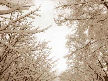 雪景色(セピア) 雪景色(セピア)の写真