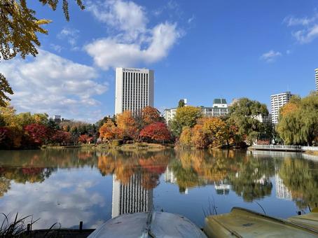 紅葉の鏡 秋,風景,幻想的の写真素材