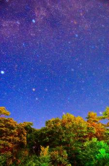 夏の夜空 夏の夜空の写真
