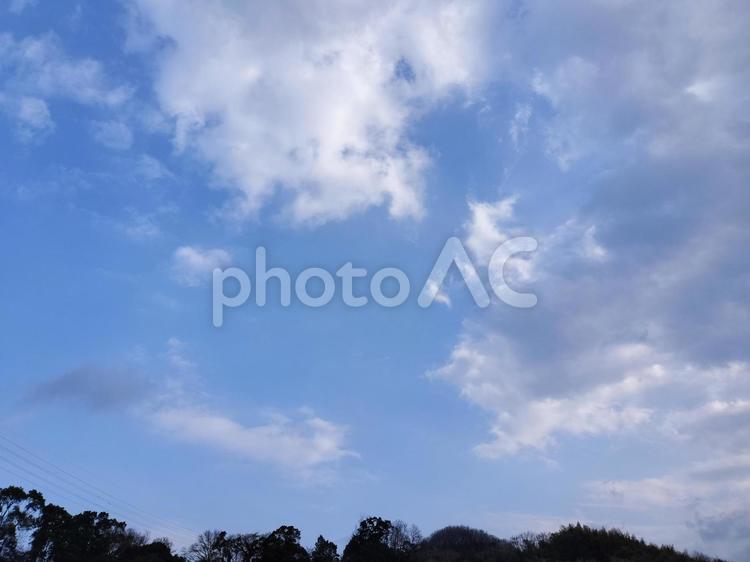 木々の上の冬の晴れた空 空,晴れ,冬の写真素材