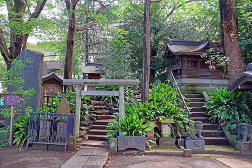 氷川町氷川神社(板橋) 氷川町氷川神社(板橋)の写真