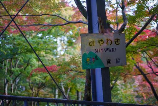 紅葉と宮脇の地名標識 宮脇,みやわき,miyawakiの写真素材