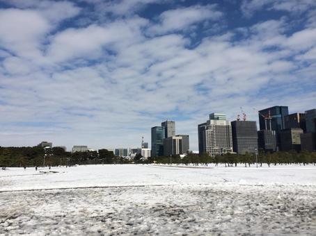 雪の翌日 雪の翌日の写真