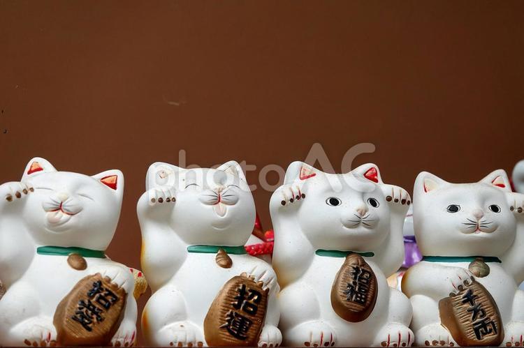 観音寺4 招き猫,猫の置物,福知山観音寺の写真素材