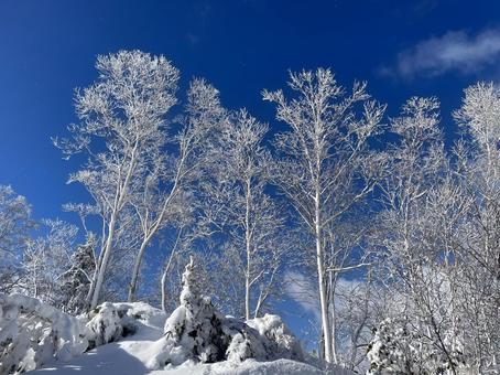 コントラスト 冬,幻想的,雪山の写真素材