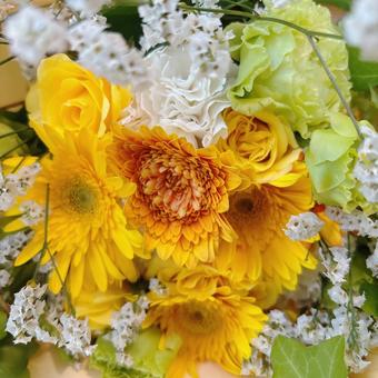 夏の花束　ひまわりたち ひまわり,黄色,夏の写真素材