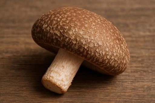 しいたけの写真