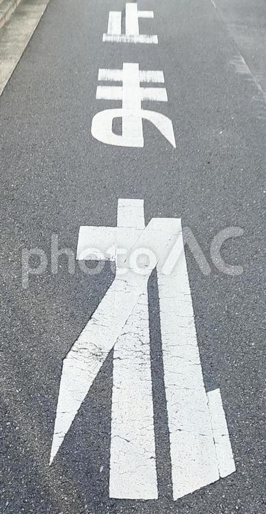 「止まれ」の路面標示 止まれ,路面標示,道路の写真素材