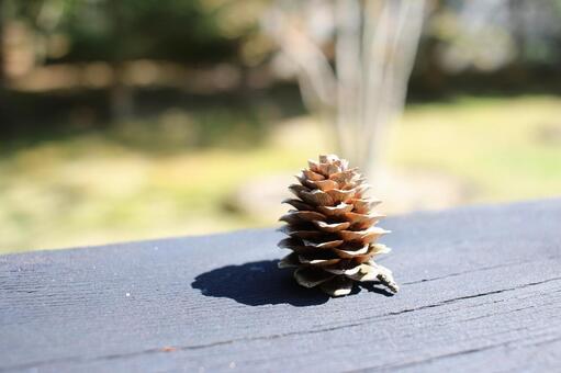 松ぼっくり・まつぼっくり 背景素材,macro撮影,壁紙の写真素材
