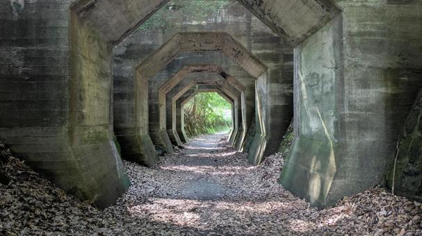 熊延鉄道遺構 八角トンネル 2 熊延鉄道遺構 八角トンネル 2 熊延鉄道,遺構,トンネルの写真素材