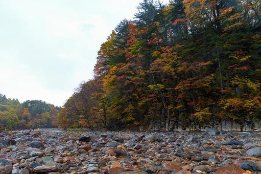 松川渓谷の柱状節理と紅葉 松川渓谷の柱状節理と紅葉 松川渓谷,柱状節理,紅葉の写真素材