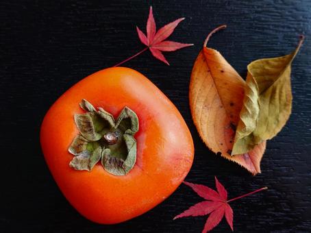 柿と落ち葉1 柿,落ち葉,もみじの写真素材