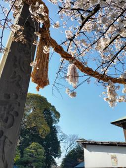 春の風景2 春の風景2の写真