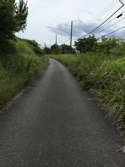 細道 田舎の写真