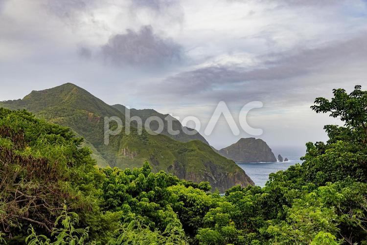 小笠原諸島　母島の風景　 小笠原諸島,海,海景の写真素材