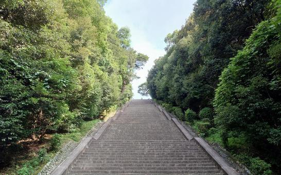 大階段 大階段 樹木,空,晴れの写真素材