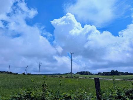 牧草地 牧草地の写真