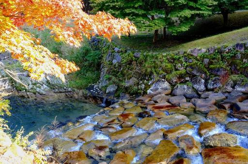 波賀町原りんご園紅葉 波賀町原りんご園紅葉の写真