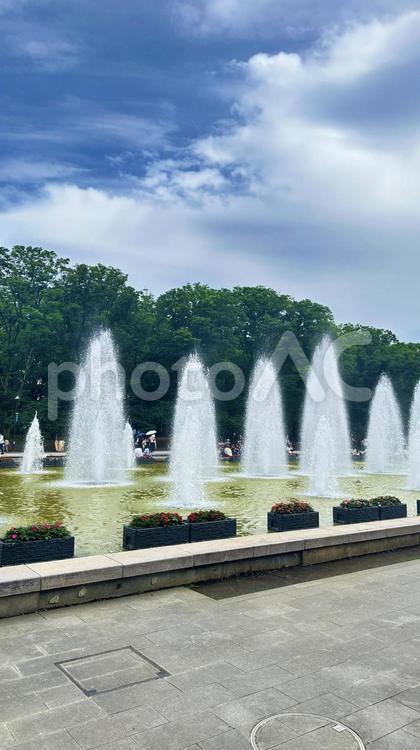 上野公園　早朝の公園　噴水 朝の上野公園,上野,上野恩賜公園の写真素材
