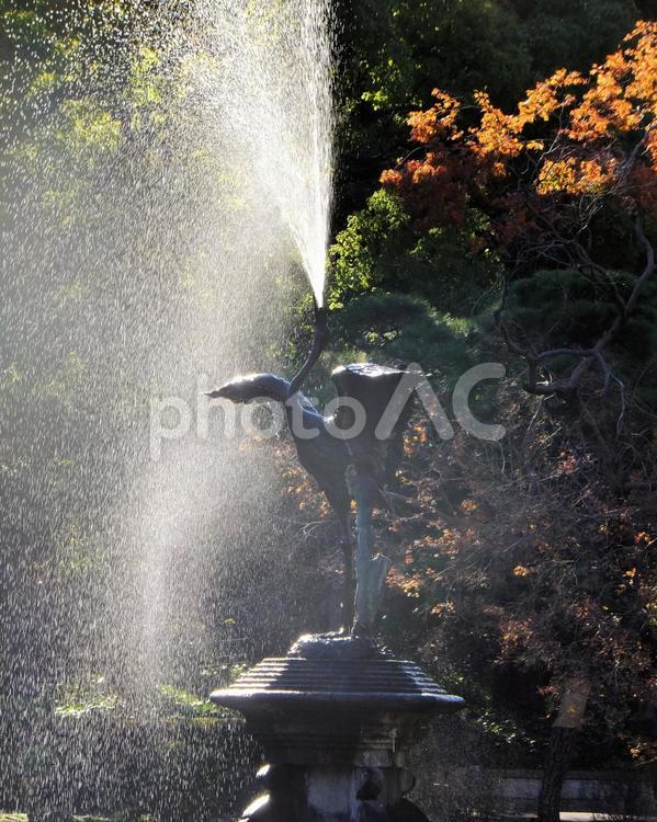日比谷公園の鶴の噴水 鶴の噴水,日比谷公園,東京の写真素材