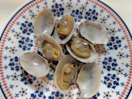 茹でたアサリ 茹でたアサリ 茹でたアサリ,あさり,貝の写真素材