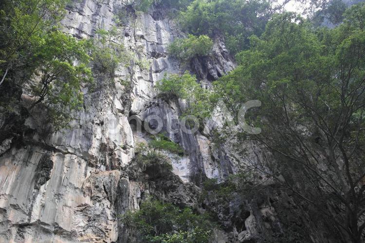 山 山,木,断崖絶壁の写真素材