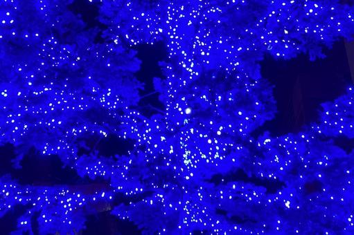 イルミネーション　青 イルミネーション,青,電飾の写真素材