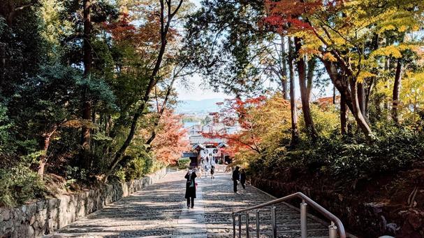 色づき始めた神社 色づき始めた神社の写真