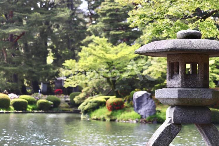 和の風景 庭,風景,和風の写真素材