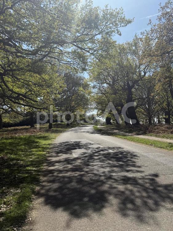 公園　散歩 公園,自然,景色の写真素材