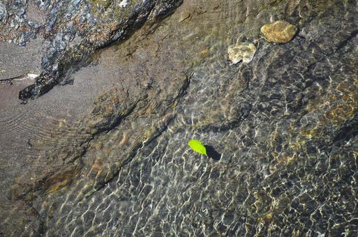 清流 清流の写真