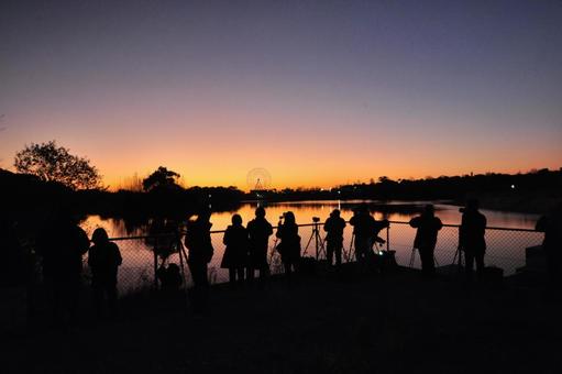 夜明け前 観覧車,空,乗り物の写真素材
