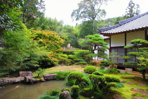 岡山県-大通寺-開山堂と庭園 岡山県-大通寺-開山堂と庭園 大通寺,寺,高峰山の写真素材