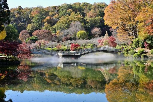 映し鏡の秋 秋,秋景色,11月の写真素材