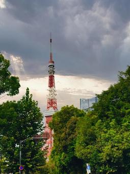 東京タワー 東京タワー ノアビル,ビル,商業の写真素材