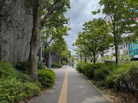 二子玉川 246沿いの歩道 二子玉川 246沿いの歩道の写真