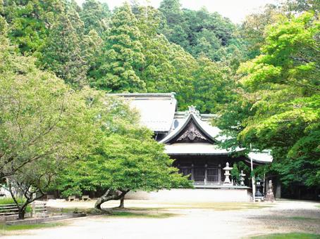 徳島県-箸蔵寺-本殿 徳島県-箸蔵寺-本殿の写真