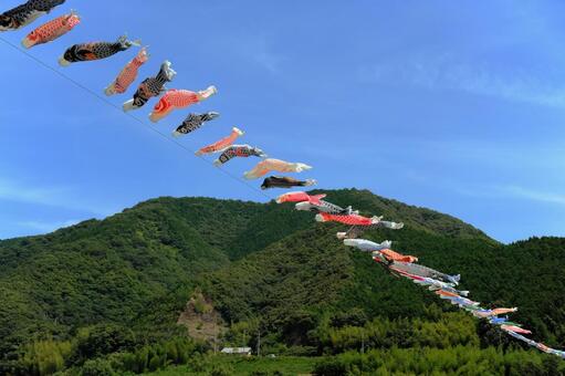 四万十川にかかる鯉のぼり 鯉のぼり,四万十川,四国の写真素材