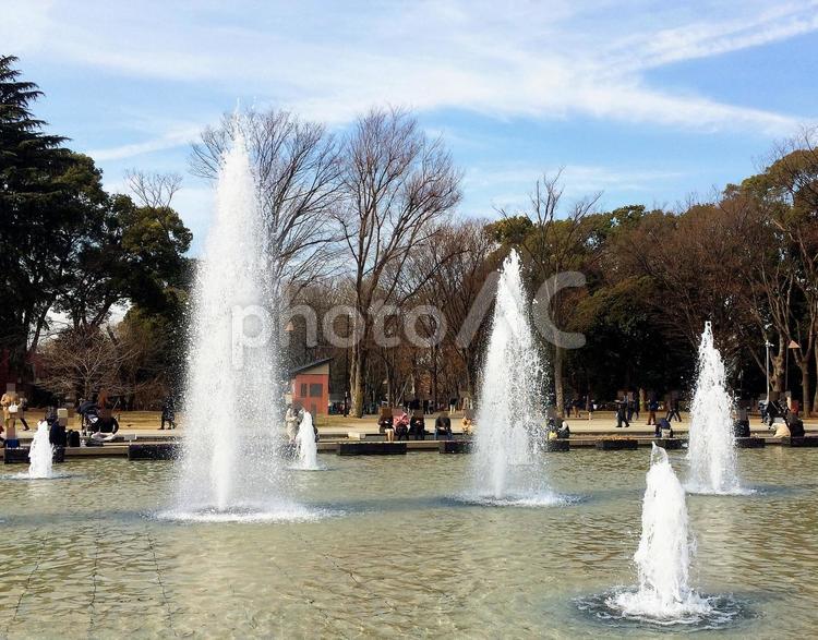 東京風景・上野公園 上野公園,上野恩賜公園,噴水池の写真素材