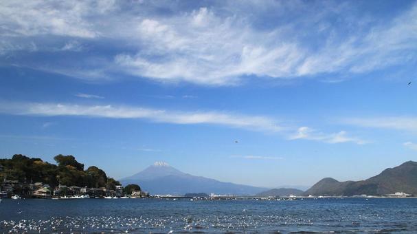 沼津市西浦木負から眺める富士山と渡り鳥 秋,初冬,富士山の写真素材