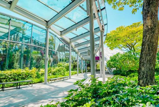 【シンガポール】ガーデンズバイザベイ 【シンガポール】ガーデンズバイザベイ シンガポール,ベイフロント,singaporeの写真素材