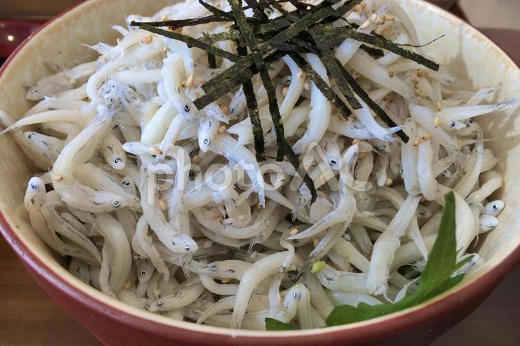 しらす丼 どんぶり,どんもの,丼ものの写真素材