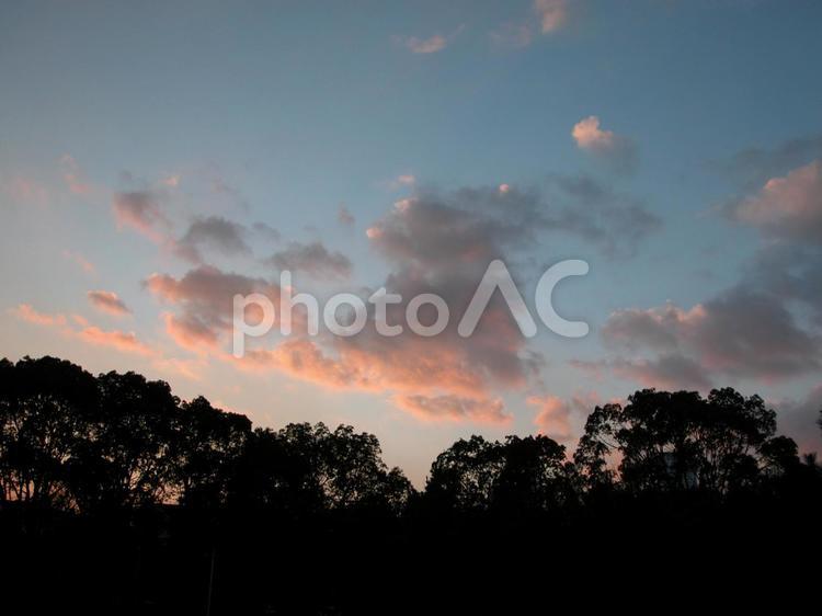 ピンクに染まる雲とシルエットの森 夕景,夕焼け,雲の写真素材
