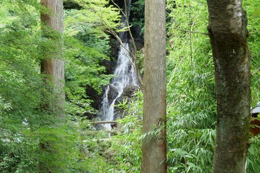 Photo, articulated waterfall, choon falls park, waterfall, 