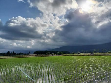 旧豊田移民村 田園風景 旧豊田移民村 田園風景の写真
