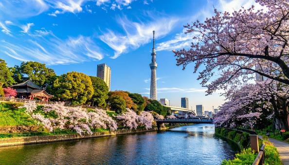 都会のランドマークタワー 都会のランドマークタワーの写真
